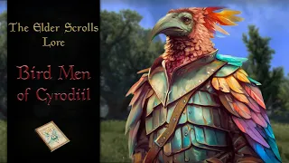 The Mysterious Bird Men of Cyrodiil - The Elder Scrolls Lore