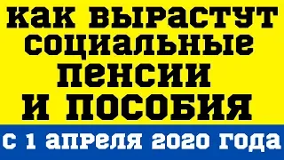 Как вырастут социальные пенсии и пособия с 1 апреля 2020 года