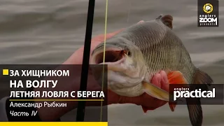 За хищником на Волгу. Летняя ловля с берега. Часть 4. Anglers Practiсal