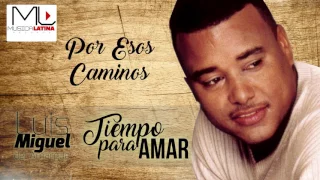 Por Esos Caminos  - Luis Miguel del Amargue - Audio Oficial - Bachata