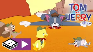 Tom & Jerry | Túrázás | Cartoonito