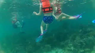 Reef Snorkeling in Costa Maya Mexico March 2022