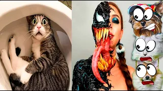 ЗЛОВРЕДНЫЕ КОТЫ СЛОМАЛИ ТИКТОК! СОБАКИ и КОТЫ в TikTok НЕ ЗАСМЕЙСЯ ЧЕЛЕНДЖ Funny Cats Валеришка Макс