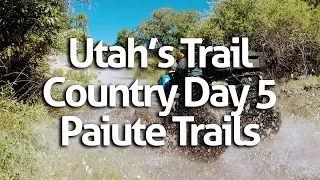 ATV Camping Utah's Trail Country Day 5; Paiute ATV Trails