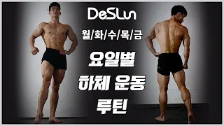 데스런 요일별 하체 루틴(하체 운동 홈트레이닝)