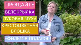 ПОСЛЕ ЭТИХ МЕРОПРИЯТИЙ ВРЕДИТЕЛЕЙ НА УЧАСТКЕ НЕ БУДЕТ!