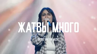 Жатвы Много - Слово Жизни Music