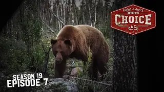 Manitoba Monster Black Bears - Part 1 - Archer’s Choice (Full Episode) // S19: Episode 7