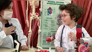 «Моя педагогическая находка» Увлекательная анатомия для дошкольников. Путешествие капельки крови.