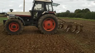 Case 1594 chisel ploughing