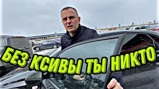 Шизофреники ликуют весной