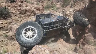 Rear Steer Trails in New Mexico?