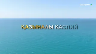 «Қазыналы Каспий» | деректі фильм