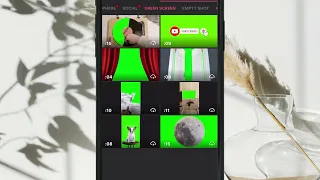 How to Add Green Screen in InShot Video Editing App