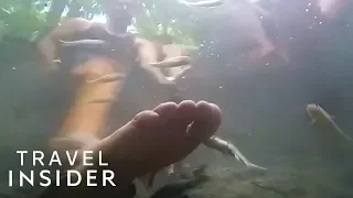 Thailand Waterfalls Are A Natural Fish Spa