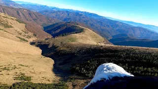 Unbelievable  POV Bald Eagle over Slovakia