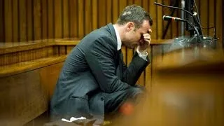 Oscar Pistorius murder trial: The key witness evidence