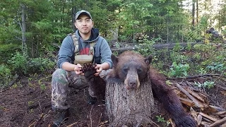 Washington State 2016 Spring Bear Hunt