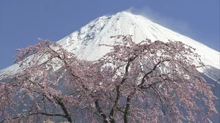 Sony HD Demo: Beautiful Scenery Tokyo