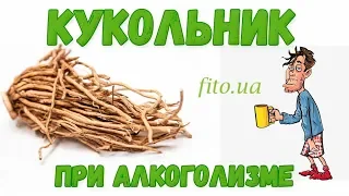 Трава кукольник от алкоголизма, приготовление, цена | Травяная аптека - Фито