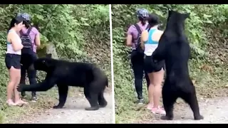 Woman takes Selfie with Black Bear turns near Disaster