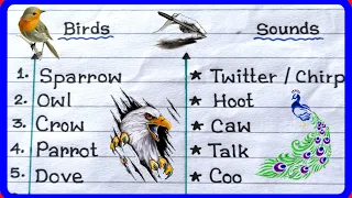 Birds Names And Sounds In English ॥ Learn Birds Species In English ॥ Study Koro ॥