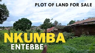Acres of land for sale in Nkumba, Entebbe | Real Estate Uganda