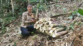 35 days Build a farm. Harvest eggplants, peppers and bamboo shoots and bring them to the market