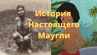 Человек, Воспитанный Волками, Стал Вдохновением для "Книги Джунглей"