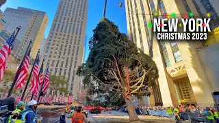 NYC Rockefeller Center Christmas Tree 2023 Installation ✨ New York City Christmas 2023 🌲