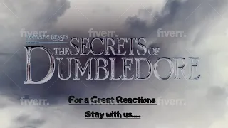 Fantastic Beasts The Secrets of Dumbledore – Official Trailer Reaction