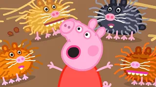 Peppa Pig en Español Episodios Completos | Temporada 8 - Nuevos Episodios 33 | Pepa la cerdita