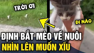 Thấy con mèo tội nghiệp định 'BẮT VỀ NUÔI', thanh niên gặp ngay tình huống 'KHÓ ĐỠ' | Tin 3 Phút