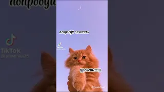 ‘Сборник -Попробуй зачитать-’