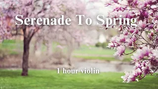 Secret Garden- Serenade to Spring - ( 1 hour for relaxation, stress relief, study, sleep )