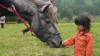 被災地の子どもと馬とのふれあいプログラム　〜子どもへのホースセラピー