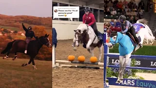 The Best Horse TikToks // ULTIMATE compilation pt 12