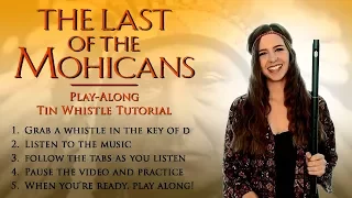 The Last Of The Mohicans - TIN WHISTLE PLAY ALONG TUTORIAL -