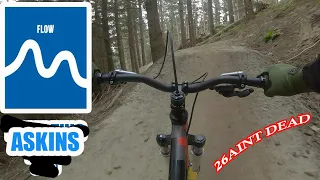 ASKINS  | FLOW TRAILS WITH STING ON A TAIL Christchurch Adventure Park AKA NAME THIS TRAIL