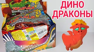 ДИНОДРАКОНЫ TREDIMALS - СМЕСЬ ДИНОЗАВРОВ И ДРАКОНОВ