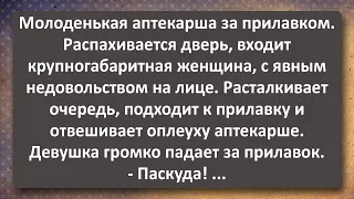 Молоденькая Аптекарша и Большущая Тётка! Сборник Самых Свежих Анекдотов! Юмор!