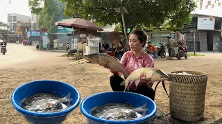 Harvesting Fish and bring to the market to sell ,Vàng Hoa