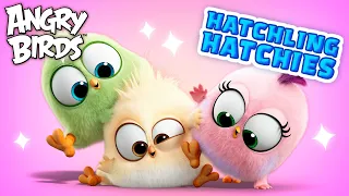 Angry Birds Hatchling Hatchies | Love and Compassion 💖🥰