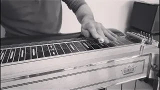 Crosby Stills and Nash- Teach Your Children- Pedal Steel Guitar Cover