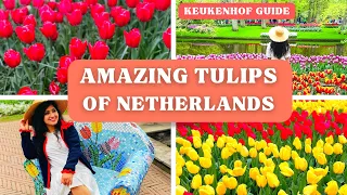 Our trip to the amazing SPRING GARDEN | KEUKENHOF TULIPS GARDEN🌷🌷| AMSTERDAM |Travel guide