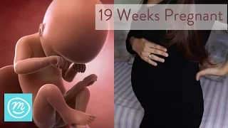 19 Weeks Pregnant: What You Need To Know - Channel Mum