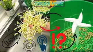 Automatic sprouting machine review 2020 magic, easy, safe, amazing and useful product  Corona period