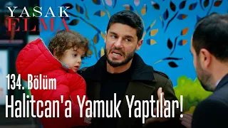 Halitcan'a yamuk yaptılar! - Yasak Elma 134. Bölüm