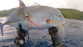 SPEARFISHING PHILIPPINES || BLUE FIN TREVALLY || SURGEON FISH!