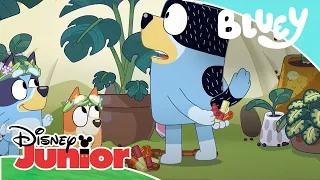 Bluey: Los juegos sin fin | Disney Junior Oficial